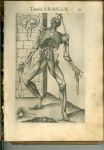 J. Valverde de Amusco, "Anatomia del corpo umano", Roma 1560